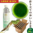 桑の葉茶 国産 粉末ペットボトル24