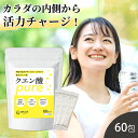 クエン酸 スティック 60包 オーストリア産 クエン酸 粉末 食用 GMOフリー サプリメント 分包 小分け 掃除 健考工房