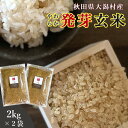 発芽玄米 無洗米 2kg 2袋セット 送料無料 (秋田県大潟村産 ミルキープリンセス100%) ダイエット 腸内環境 内臓脂肪 食物繊維 GABA ギャバ 特別栽培 有機 玄米 無添加 米ぬか 発酵肥料 ストレス 疲労 うつ低減 免疫力 桑郷