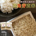 発芽玄米 無洗米 400g 2袋セット 送料