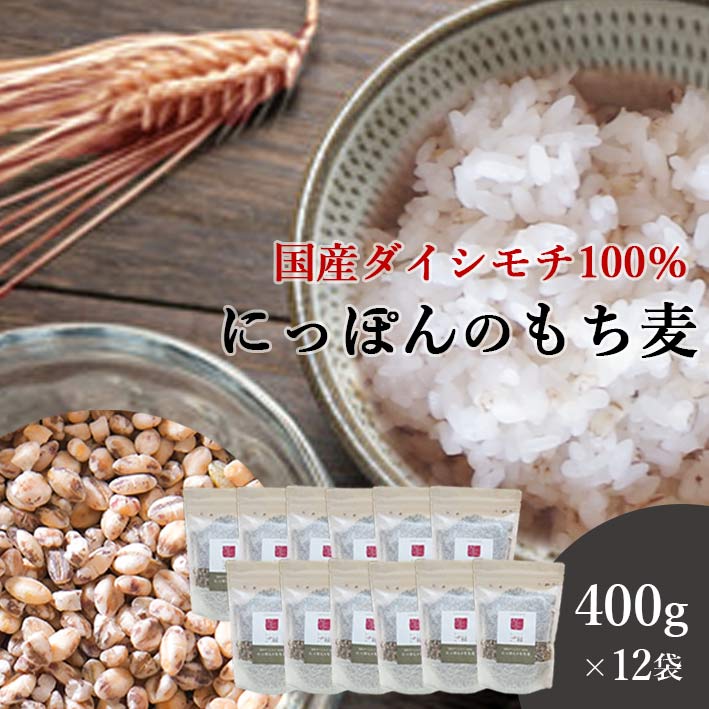 もち麦 国産 400g 12袋セット 送料無料 (国産 希少ダイシモチ100%) ダイエット 腸内環境 内臓脂肪 食物繊維 ポリフェノール 無添加 雑穀 大麦 裸麦 もち麦 もちむぎ 餅麦 ダイシモチ テレビ 話題 免疫力 桑郷