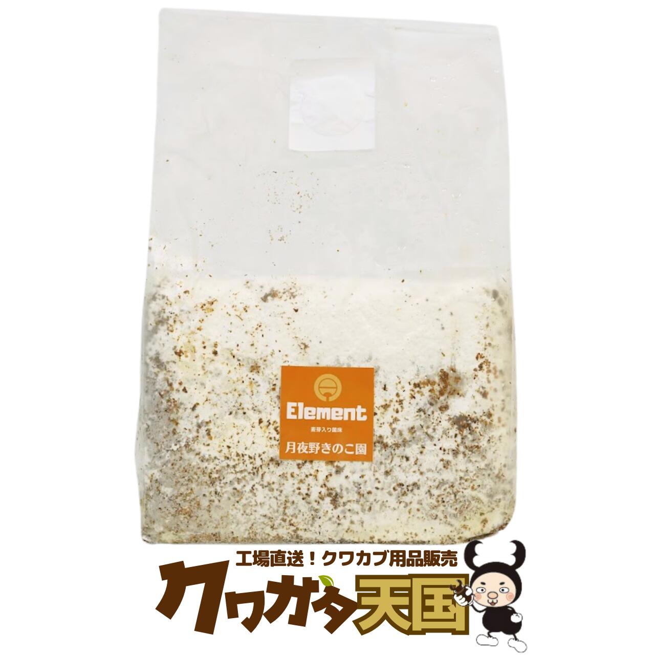 仕様　オガ粉：生クヌギ50％、生コナラ50％　水分量：約50％　添加剤：フスマ4％　麦芽3％種菌　： オオヒラタケ系　容量　：約3500cc ※菌床を多種、ご購入された場合はフィルターにオレンジ色のシールが貼ってあります。 詰め替え容器の容量 800ccなら約4本 1100ccなら約3本 となります。 生育おススメクワガタ 【オオクワガタ♂73mm】羽化 和名　国産オオクワガタ 学名　Dorcus curvidens binodulosusu 【ギラファ♂112mm】羽化 和名　ギラファノコギリクワガタ 学名　Prosopocoilus giraffa keisukei &nbsp; 【ノコギリクワガタ♂68mm】羽化 和名　国産ノコギリクワガタ 学名　Prosopocoilus inclinatus 【シェンクリングオオクワガタ♂77mm】羽化 和名　シェンクリングオオクワガタ 学名　Dorcus schenkingi 【ネパレンシス♂67mm】羽化 和名　ネパールコクワガタ 学名　Hemisodorcus nepalensis■クワガタ幼虫飼育　菌糸ビンのポイント 温度管理と置き場所 直射日光の当たらない静かな場所に置き、飼育するクワガタにあった温度（クワガタの多くは20〜25℃）で、管理します。また、飼育する容器の通気を確保し、酸欠や乾燥、菌糸のムレに注意します。ムレた状態でおくと菌糸の劣化が速くなり交換の回数が増えてしまいます。 オオクワガタの場合、幼虫飼育の1本目やメスなら800cc程度オスの2本目以降の場合1100cc程度が目安になります。ひとつの容器に1頭で飼育します。 幼虫飼育をはじめてから成虫になるまでに何回かエサ交換を行います。交換のサイクルは3ヶ月が目安です。 &nbsp; 徹底した培養管理と厳選された素材！！ オガ粉 生クヌギ50％ 生コナラ50％ 添加剤 フスマ4％ 粉末麦芽3％ 種菌 オオヒラ茸系 厳選種使用 水分量 水分量 約50％ クワガタ用菌糸（菌床）には重要なポイントがあります。 1.オガ粉 種類、品質、オガの鮮度や樹種、挽き方など 2.添加剤（栄養剤） 添加剤の種類、組み合わせ、総量 3.種菌 種菌の特製（適正な水分量や温度 オガ分解の仕方） 4.水分量 種菌や添加剤にあわせる、オガの粒子にあわせる 5.培養環境 温度、換気（炭酸ガス濃度調整）、湿度 6.培養期間 オガ粉の分解度の調整（上記1〜6全てに影響され変化） &nbsp; ●厳選された種菌、添加剤（栄養剤）、オガ粉の配分、 水分量の徹底した管理と温度、換気（炭酸ガス濃度）、湿度の 最適な環境の中、培養された最高のクワガタ用菌糸（菌床）です。 &nbsp; &nbsp; クワガタ菌床産卵 「国産オオクワガタ」や「ホーぺ」には多数実績があり、産卵木と比べると割り出しが非常に楽ですのでオススメの産卵方法です。 産卵を確認しているクワガタの種類は少ないですが、産卵木を使用して産卵する種には使える可能性があります 。>>>クワガタ産卵