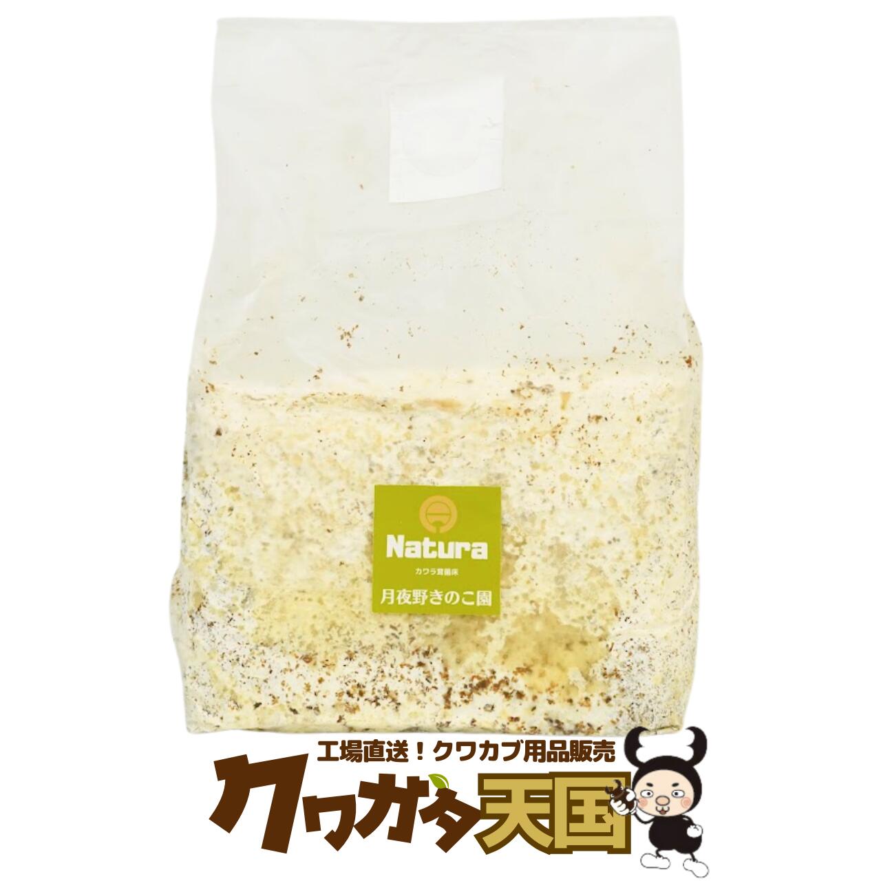 N-カワラblock バラ(カワラタケ) ・菌糸...の商品画像