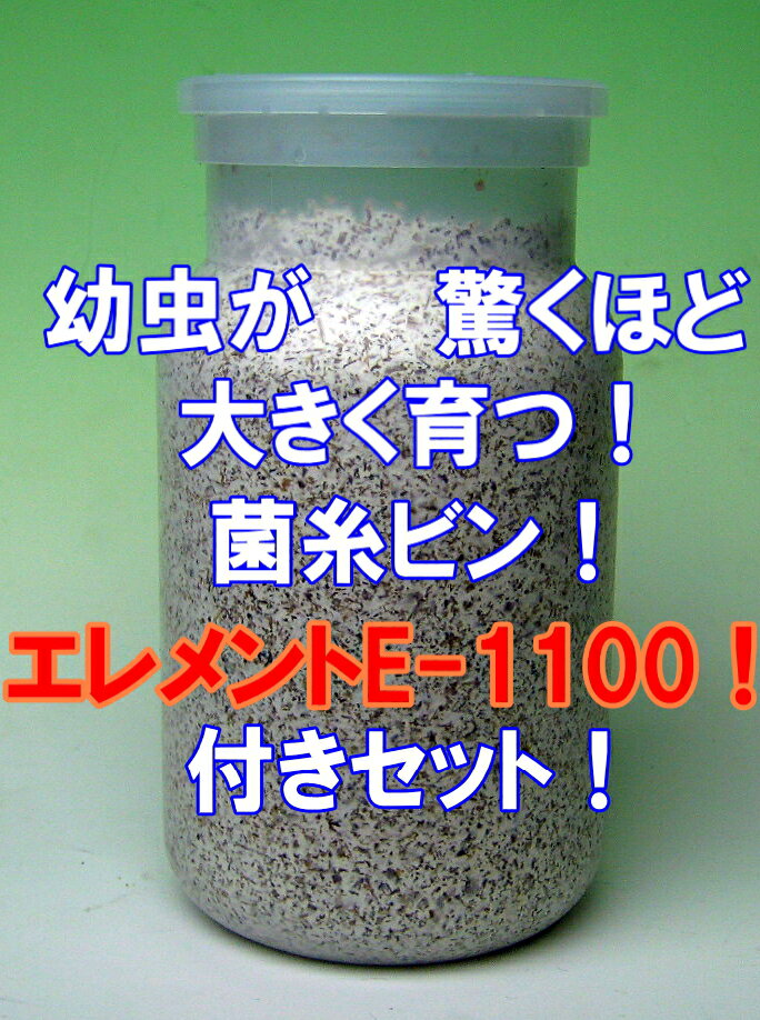 591円 本物の 菌糸ビン E-1100 クワガタ幼虫用