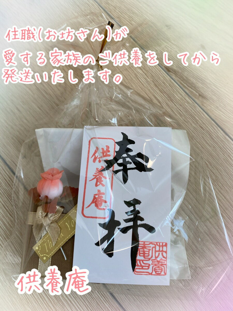 ���ꥢ��ڥ����� ����ڥ����� ������ץ��� ������奨��� ������������꡼ �ڥåȥ��ꥢ�� ���ƥ�쥹�ڥ����� �ڥåȶ��� �ڥå�ʬ�� �ϥ磻���� �ӡ���������� �����ե��� �����ܰ�