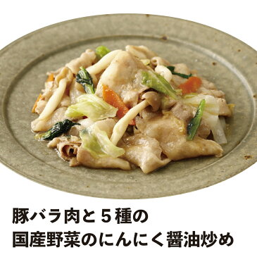 10%OFFsale 豚バラ肉と5種の国産野菜のにんにく醤油炒め　make!t（メイキット）ミールキット　365g/パック 冷凍 業務用 食品 お昼 夕飯 メニュー 追加で一品 10分時短 簡単調理 カット済 まな板不要 包丁不要 かんたん makeit 単品