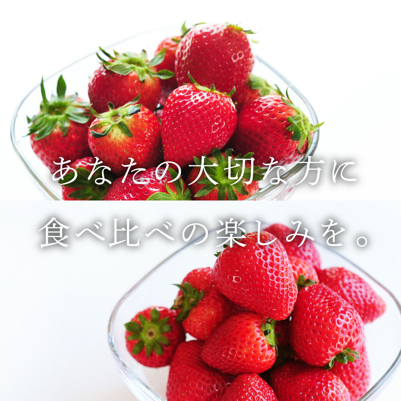 ���ڸ���������餤�����֤Ȥ��������ס֥������٥꡼��£���� �������� 1�ѥå�9��16γ����꤫�����ѥå�2���å�/£����/������/��ʪ/�ե롼��/�ͤ��碌/����ľ��/���ȥ��٥꡼/�ǹ��/���ˤ�/�ե롼�ĥ��å�/���ե�/£��ʪ/�������/��/�ץ쥼���/���ڸ���������