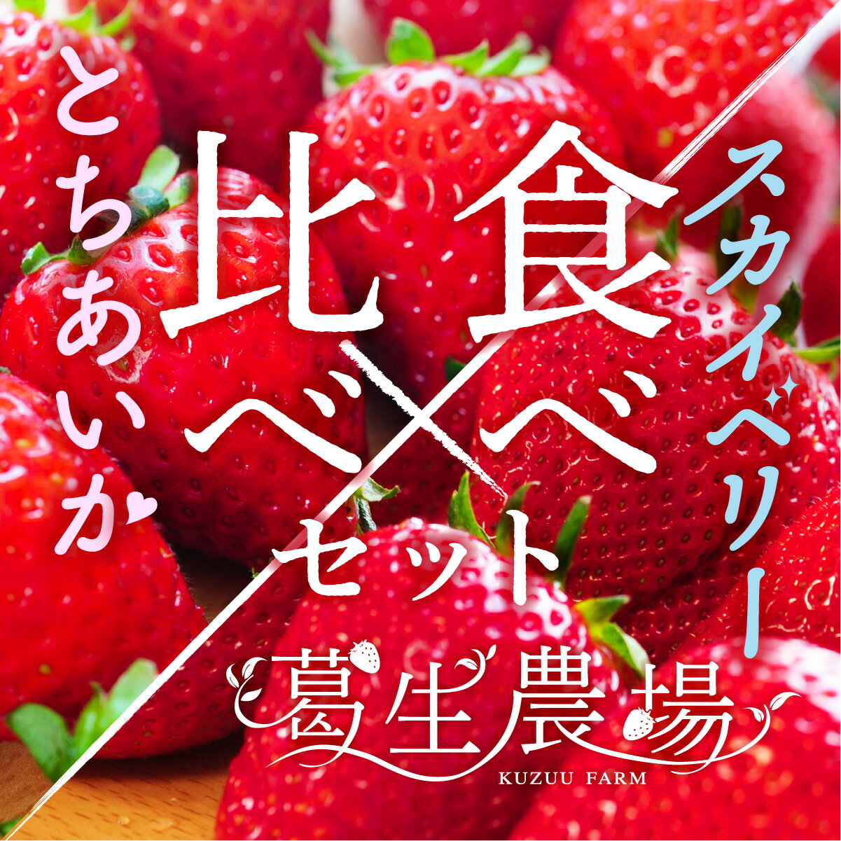 栃木県産厳選高級いちご「とちあいか」「スカイベリー」贈答用 葛生農場 1パック9～16粒、ゆりかーごパック2セット/贈答用/お取り寄せ/果物/フルーツ/詰め合わせ/農園直送/ストロベリー/最高級/お祝い/フルーツセット/ギフト/贈り物/食べ比べ/苺/プレゼント/栃木県産いちごのサムネイル
