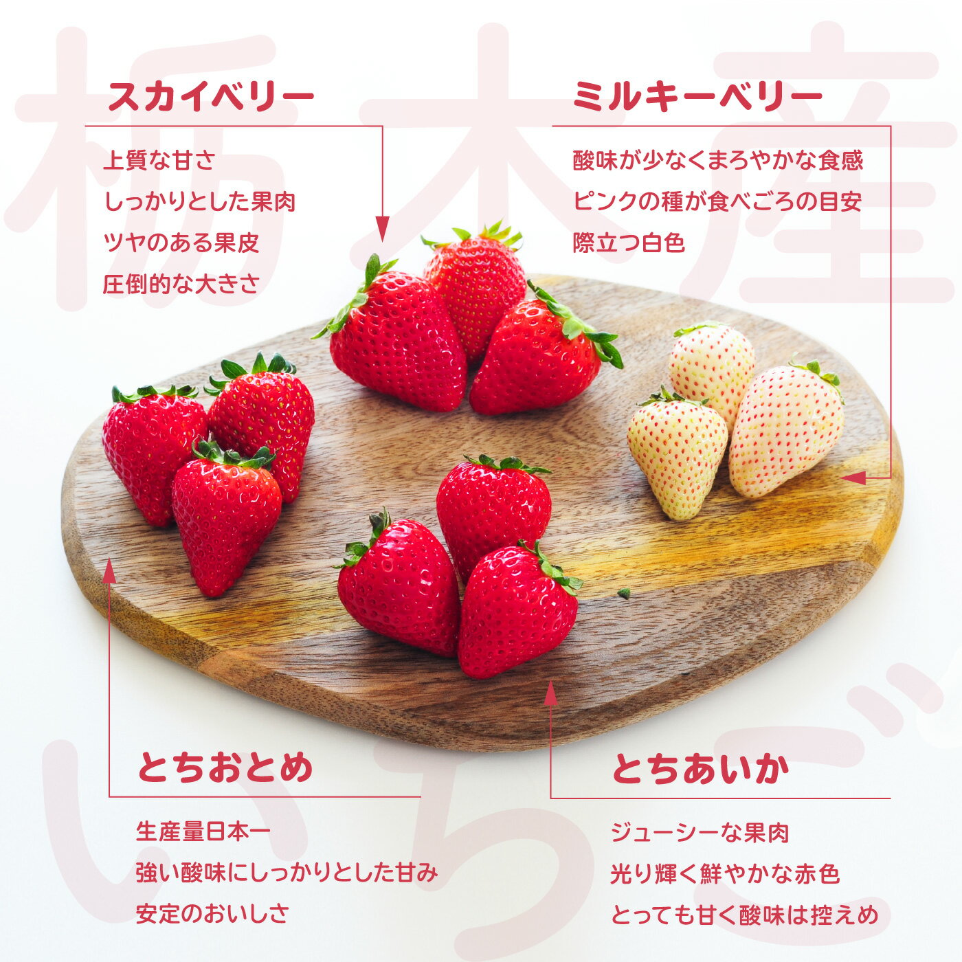 ���ڸ���������4�￩����٥��åȡ֤Ȥ����������������٥꡼���ߥ륭���٥꡼���Ȥ����Ȥ��£���� �������� ʿ4�ѥå�/£����/������/��ʪ/�ե롼��/�ͤ��碌/����ľ��/���ȥ��٥꡼/���ˤ�/�ե롼�ĥ��å�/���ե�/£��ʪ/�������/��/�ץ쥼���/�������å�