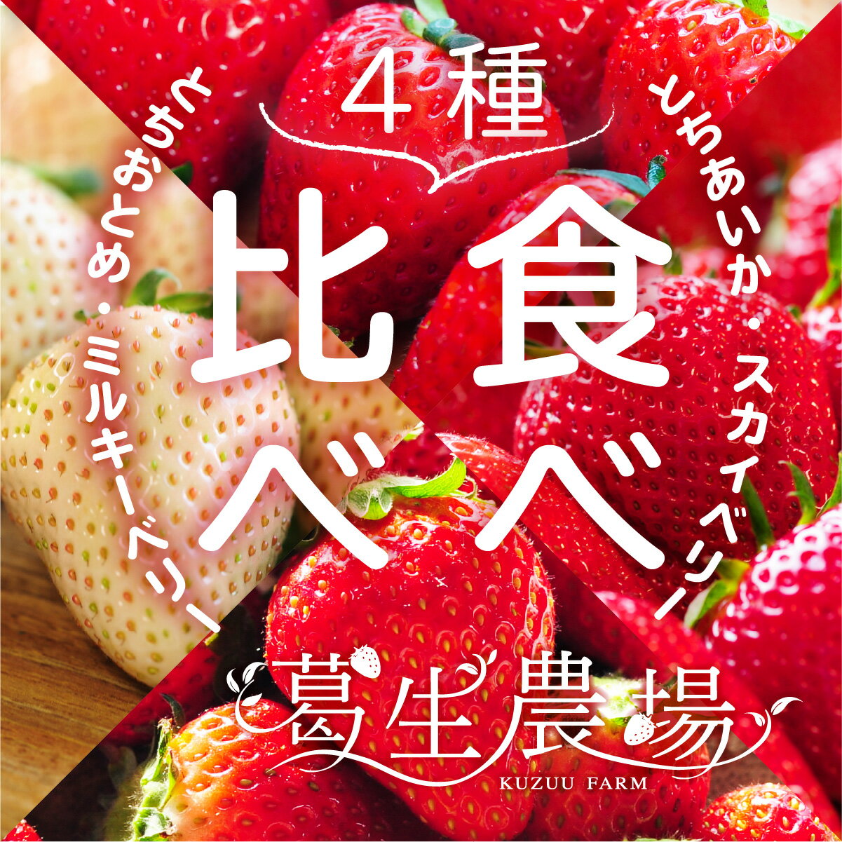 栃木県産いちご4種食べ比べセット「とちあいか・スカイベリー・ミルキーベリー・とちおとめ」贈答用 葛生農場 平4パック/贈答用/お取り寄せ/果物/フルーツ/詰め合わせ/農園直送/ストロベリー/お祝い/フルーツセット/ギフト/贈り物/食べ比べ/苺/プレゼント/お得セット