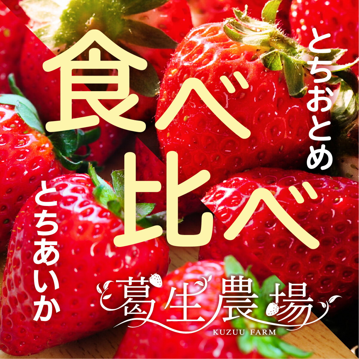 栃木県産いちご2種食べ比べセット「とちあいか」「とちおとめ」 葛生農場 レギュラー4パック/お取り寄せ/果物/フルーツ/農園直送/ストロベリー/お祝い/フルーツセット/ギフト/贈り物/自分用/食べ比べ/苺/プレゼント/お得セット/栃木県産いちご