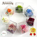 \ ポイント2倍 23:59迄/ プリザーブドフラワー 母の日 ミニ サイズ 【 薔薇 ギフト ボックス|アヴォンリー 】(花言葉 愛 美) 送料無料 バラ ブ...