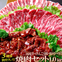 【 送料無料 】 メガ盛 1kg 焼肉セット 国産牛 けんこう豚 牛 ハラミ (たれ付) | 国産 焼き肉 焼き肉セット BBQ バーベキュー 牛肉 ( カルビ または 肩ロース ) お中元 プレゼント ギフト 内祝 御祝 冷凍 グルメ 肉 食品 mon コンビニ 後払い