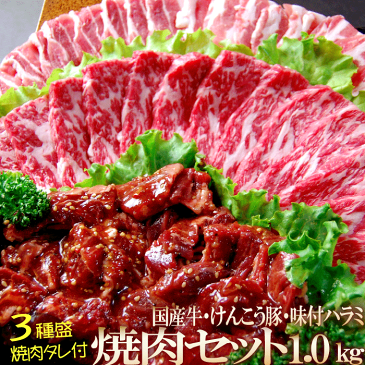 【 送料無料 】 メガ盛 1kg 焼肉セット 国産牛 けんこう豚 牛 ハラミ (たれ付) | 国産 焼き肉 1キログラム BBQ バーベキュー 牛肉 ( カルビ /肩ロース) お中元 プレゼント ギフト 内祝 御祝 冷凍 グルメ 肉 食品 コンビニ 後払い 決済 可能