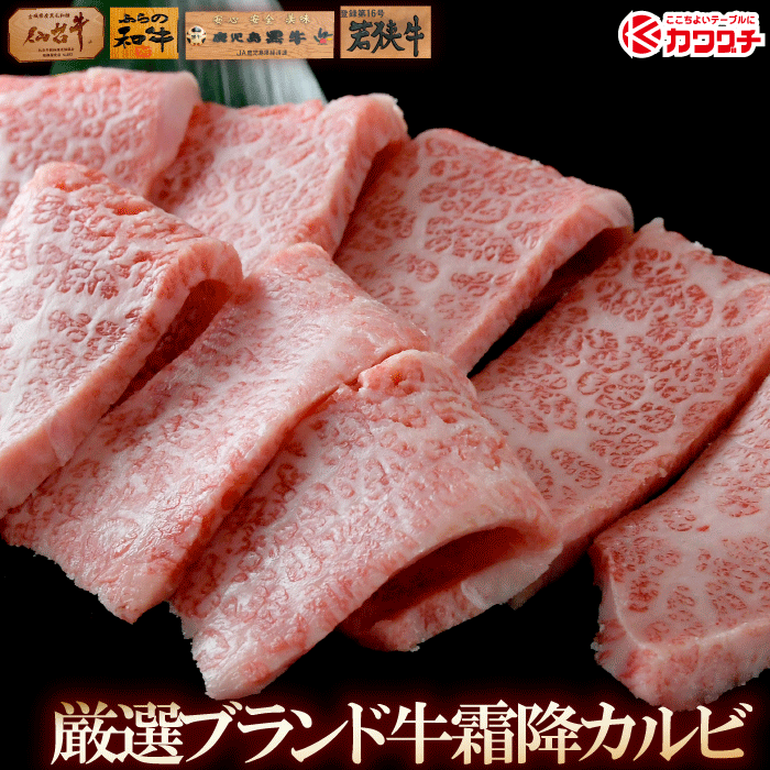 楽天肉のカワグチギフト 肉 和牛 肉 霜降り カルビ 焼肉 約400g| 送料無料 | 母の日 父の日 お取り寄せグルメ ギフト 食品 食べ物 内祝い 御祝い グルメ 食べ物 | 肉 焼肉 焼肉セット 牛肉 お肉 和牛 冷凍 | 出産内祝い 肉の日