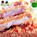 ギフト 肉 送料無料 けんこう 豚 ロ