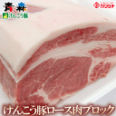 青森けんこう 豚 ロース ブロック 約 1kg (500gx2) | 業務用 塊肉 出産 内祝い 母の日 父の日 お取り寄せグルメ ギフト 出産内祝い 食べ物 ...
