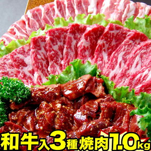 焼肉セット 1kg | 和牛 肉 豚カルビ 牛 ハラミ | 送料無料 | 母の日 プレゼント ギフト 食品 食べ物 内祝い 御祝い グルメ 食べ物 | 肉 焼肉 焼肉セット 牛肉 バーベキュー お肉 和牛 黒毛和牛 冷凍 | 出産内祝い 出産祝い 結婚祝い お取り寄せ 肉の日