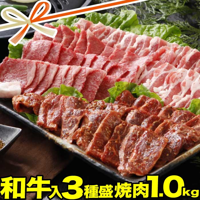 焼肉セット メガ盛り 1kg | 和牛 焼肉 豚カルビ 牛 ハラミ 肉 | 送料無料 | ギフト 食品 食べ物 内祝い 御祝い グルメ 食べ物 | 肉 焼肉 焼肉セット 牛肉 バーベキュー お肉 和牛 冷凍 | 出産…