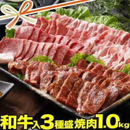 肉のカワグチ 焼き肉 焼肉セット メガ盛り 1kg | 和牛 焼肉 豚カルビ 牛 ハラミ 肉 | 送料無料 | ギフト 食品 食べ物 内祝い 御祝い グルメ 食べ物 | 肉 焼肉 焼肉セット 牛肉 バーベキュー お肉 和牛 冷凍 | 出産内祝い 肉の日