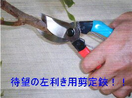 【弦月「剪定鋏金止メ200」左用】