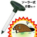 【ソーラー式 モグラ撃退器　2個セット】 もぐら対策