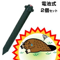 【電池式モグラ撃退器（LED付き）　2個セット】もぐら対策