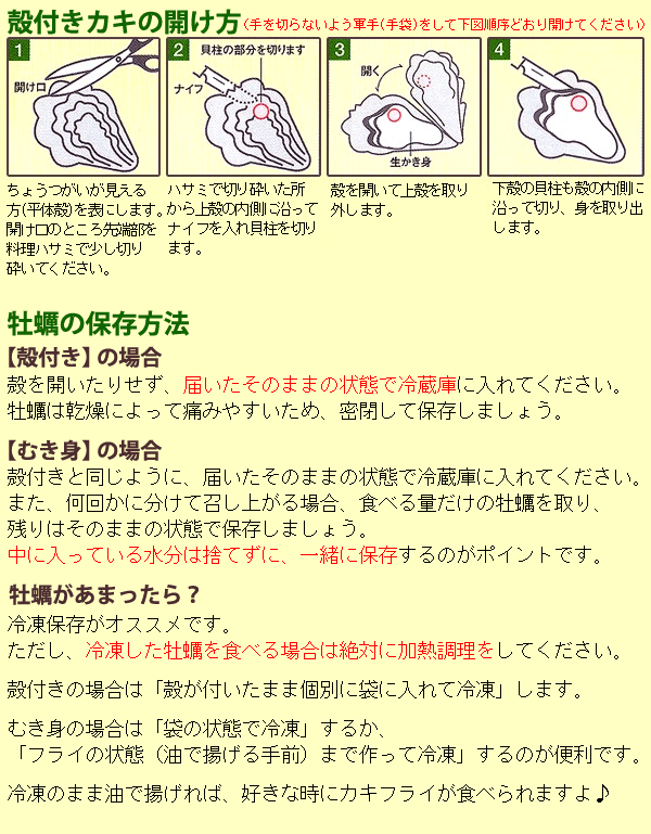広島牡蠣 【広島県産 生かき 殻付かき 100個】広島産 生牡蠣 （K14） ※代引不可