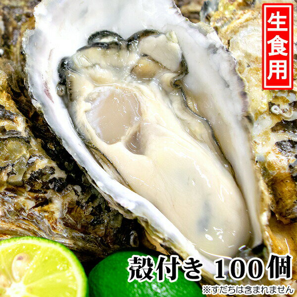 広島牡蠣 【広島県産 生かき 殻付かき 100個】広島産 生牡蠣 (K14) ※代引不可