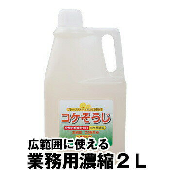 【コケそうじ濃縮液 業務用 2L】 こけ取り イシクラゲ 除去 墓 掃除