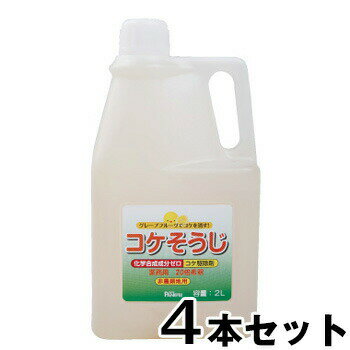 楽天あっと解消　楽天市場店【コケそうじ濃縮液 業務用 2L　4本セット】 こけ取り イシクラゲ 除去 墓 掃除