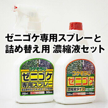 【ゼニゴケ専用スプレー500ml ×1本 ＋ ゼニゴケ専用濃縮液タイプ500ml ×1本 のセット 】 こけ 駆除 苔 除草剤