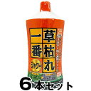 除草剤 【草枯れ一番シャワー 1000ml ×6本セット】 GSE 天日塩