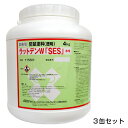 業務用【業務用防鼠塗料 ラットデンW「SES」水性 3缶セット 】