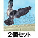 【バードスパイク 2個セット】鳩よけ、カラスよけ(4)