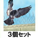 【バードスパイク 3個セット】鳥よけ トゲトゲ