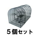 ねずみ駆除 ネズミ対策 ネズミ駆除【新型 スーパーラット捕獲器 5個セット】 ※代引不可