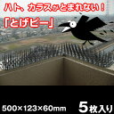【とげピー 5枚入り】(500×123×60mm/枚)トゲピー 防鳥シート 鳩よけ(4)