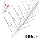 飛来防止グッズ 【鳥よけスパイク2 (50cm×10本入) ×5個セット】 25m分 庇 配管 屋根 フェンス