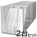 【踏板式 捕獲器 改良型(シルバー)2台セット】(W26×H31×D81cm) アライグマ ハクビシン 防除