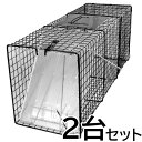 【踏板式 捕獲器 改良型（ブラック）2台セット】（W26×H31×D81cm） アライグマ ハクビシン 対策