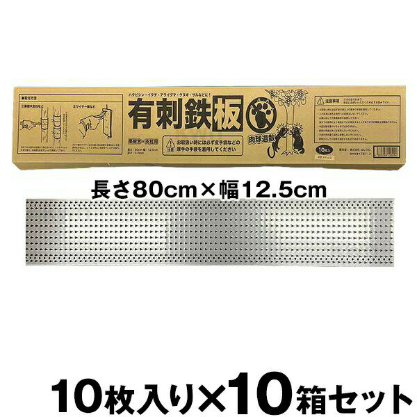 ڥƥ쥹ͭŴġ̼ѡ80cm12.5cm1010Ȣåȡ100ˡ ɽû