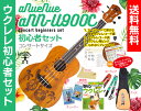 【送料無料】aNueNue aNN-U900iis コンサート ウクレレ 初心者セットウクレレケース、教則本(DVD付)、ウクレレ チューナー、ウクレレ ストラ...