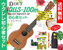 【送料無料】DCT DUS-100M ソプラノ ウクレレ 初心者セットウクレレケース、教則本(DVD付)、ウクレレ チューナー、ウクレレ ストラップ、クロスが付...