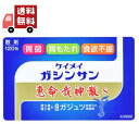  送料無料 恵命我神散散剤3G×120包　胃腸薬　食欲不振　胃部・腹部膨満感　消化不良　胃弱　食べ過ぎ　飲み過ぎ　胸やけ　胃もたれ　胸つかえ　はきけ