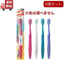送料無料 5個セット プレミアムケア歯の美白・6列レギュラー ふつう