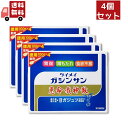 送料無料 4個セット【第2類医薬品】恵命我神散 けいめいがしんさん 散剤 徳用 100g×4 スプーン付き