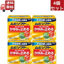 送料無料 4個セット 【第3類医薬品】「かゆみ肌」の治療薬ムヒソフトGX クリーム 150g