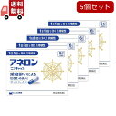送料無料 5個セット【指定第2類医薬品】アネロン「ニスキャップ」 6カプセル (4987300029466) エスエス製薬