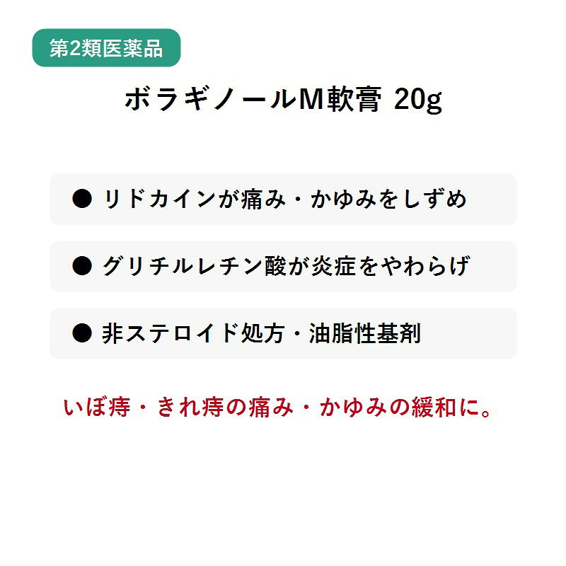 送料無料 【第2類医薬品】ボラギノールM軟膏 20g 痔の痛み かゆみ いぼ痔 きれ痔 ...